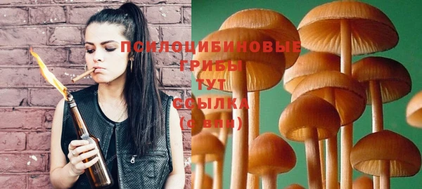 ПСИЛОЦИБИНОВЫЕ ГРИБЫ Покачи