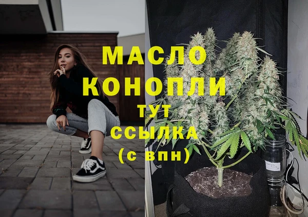 мдма Ельня