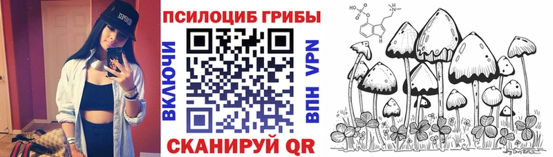 Псилоцибиновые грибы прущие грибы  даркнет сайт  Рузаевка 