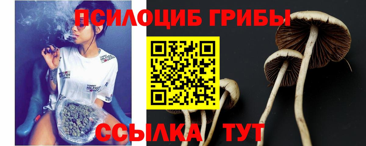 Псилоцибиновые грибы MAGIC MUSHROOMS Рузаевка